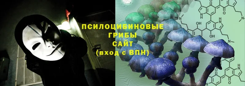 KRAKEN сайт  Карасук  Псилоцибиновые грибы MAGIC MUSHROOMS 